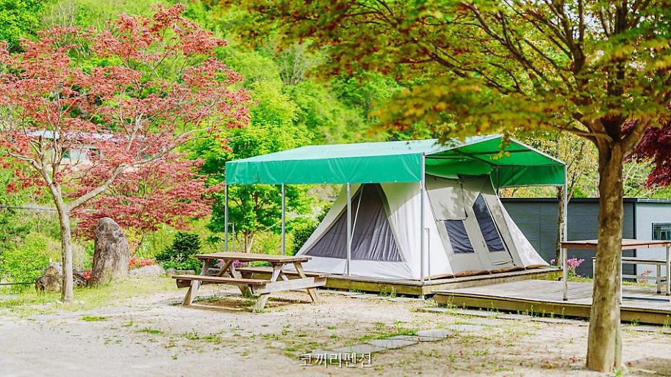 코끼리글램핑펜션 사진 2
