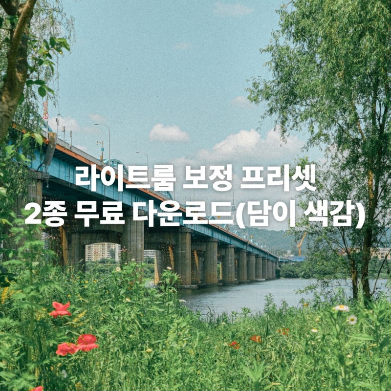 [프리셋] 사진 라이트룸 보정 프리셋 2종 무료 다운로드(담이 색감)