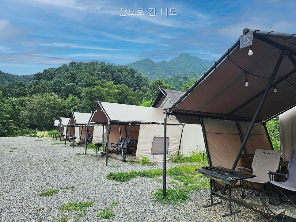 산으로간니모 사진 1