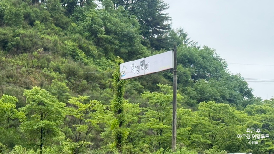 라임벨리 사진 2