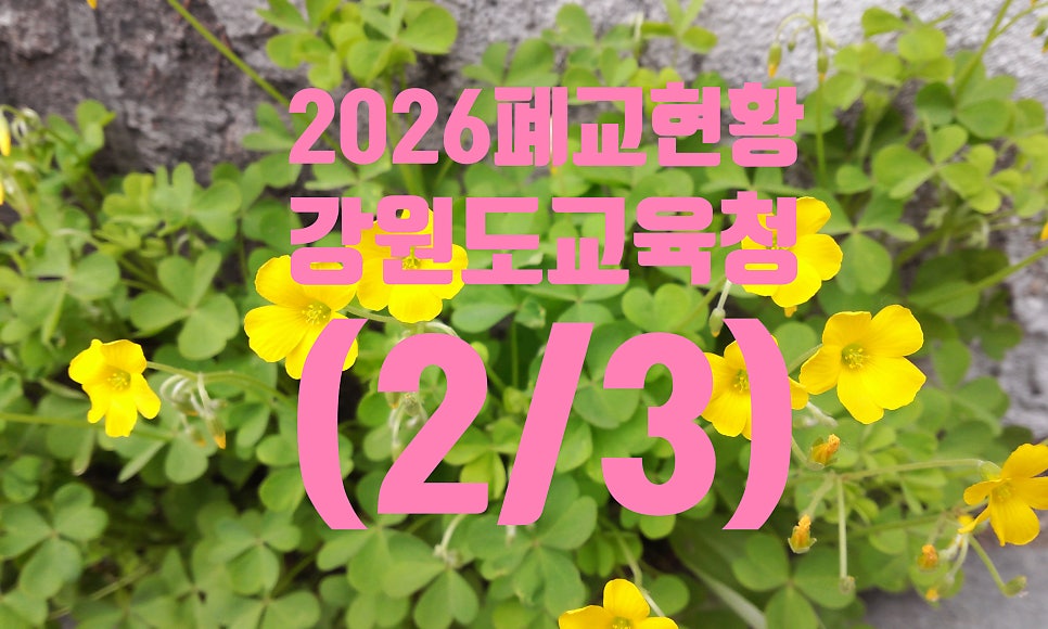 소란 사진 1