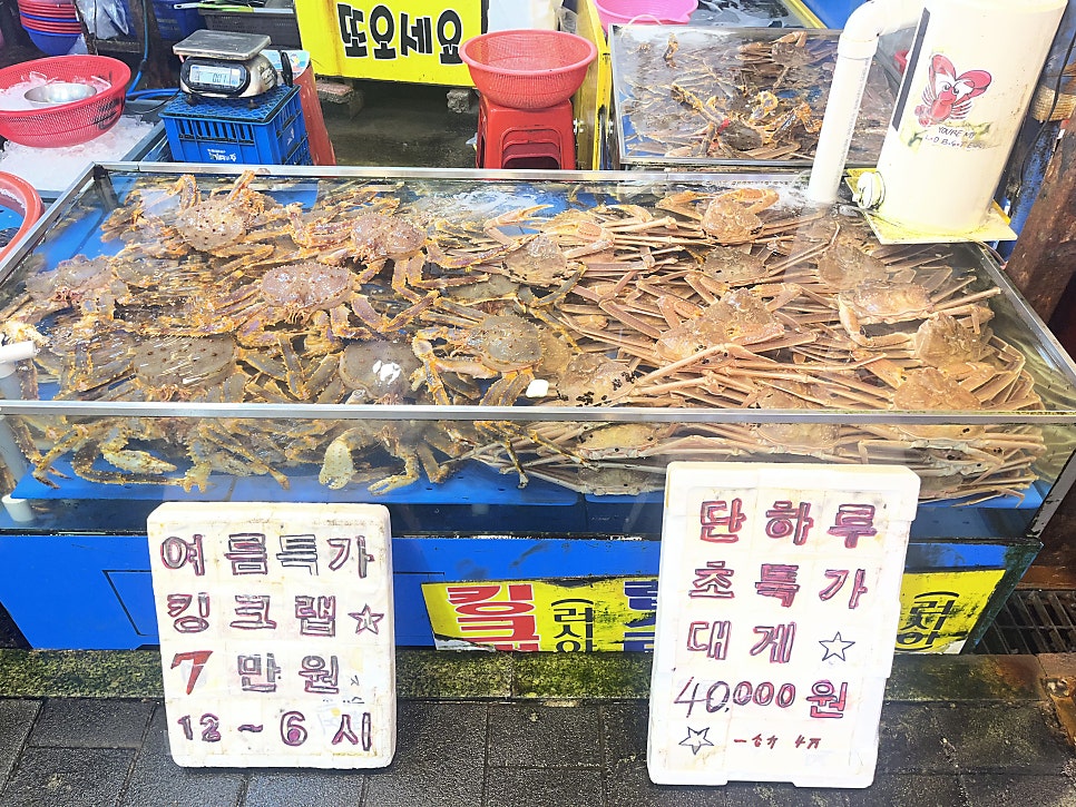 태산호 사진 4
