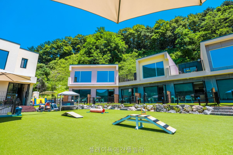 플레이독애견풀빌라 사진 2