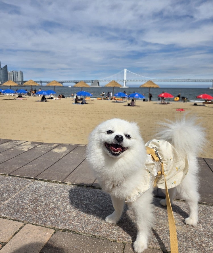 주안횟집 사진 2