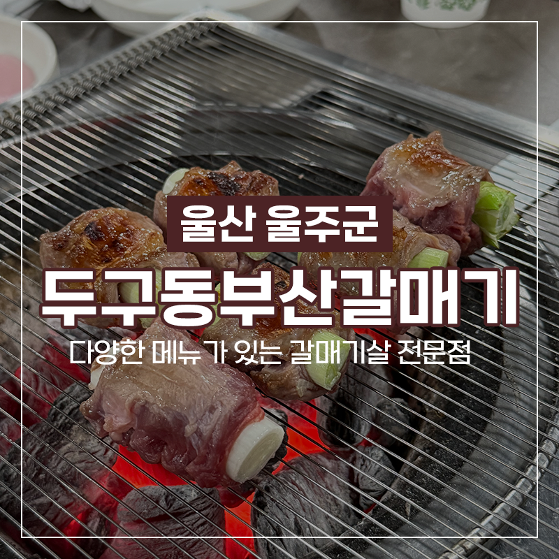 두구동부산갈매기 사진 1