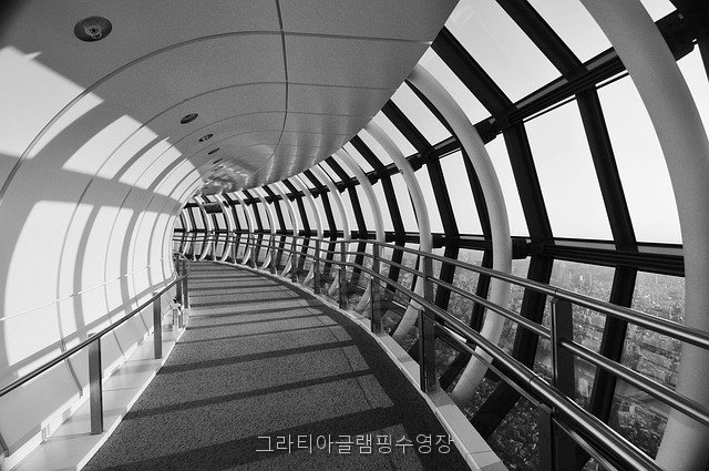 그라티아 사진 2
