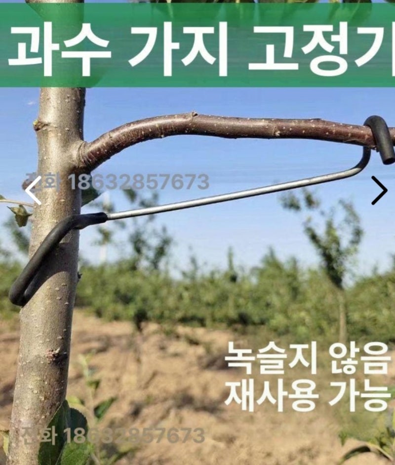 가지유인기유인추
