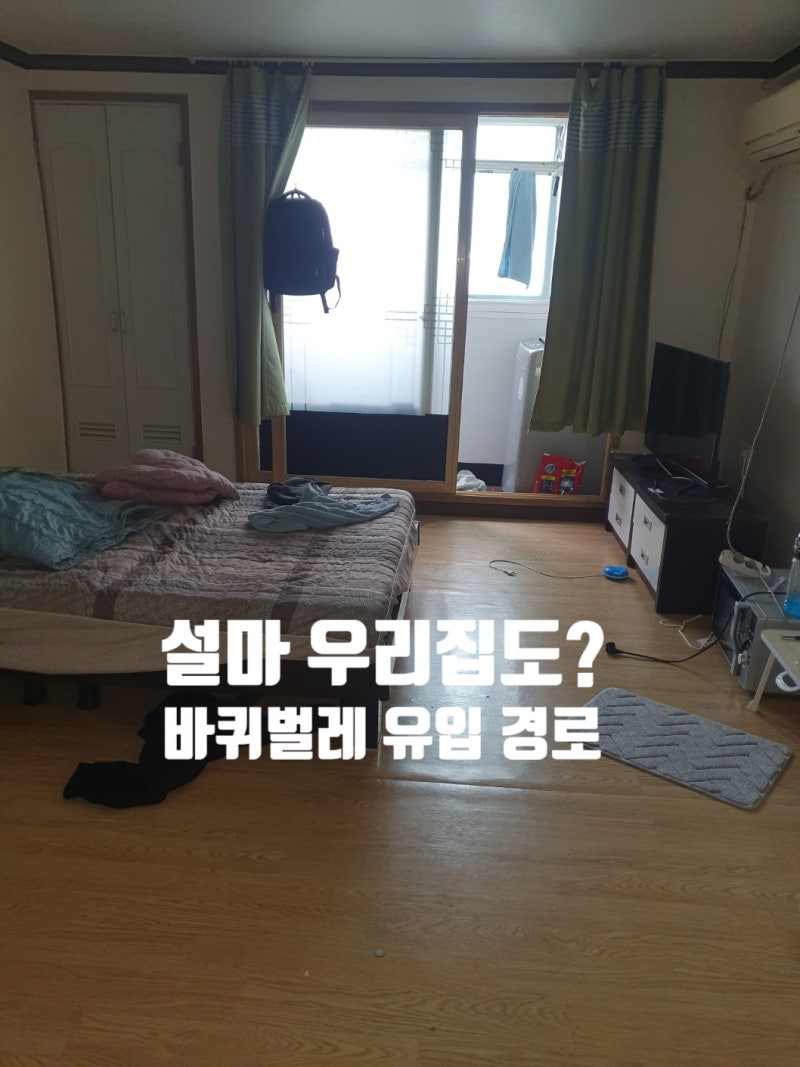 부천 바퀴벌레 새끼 퇴치, 원인부터 차단해야 해결됩니다.