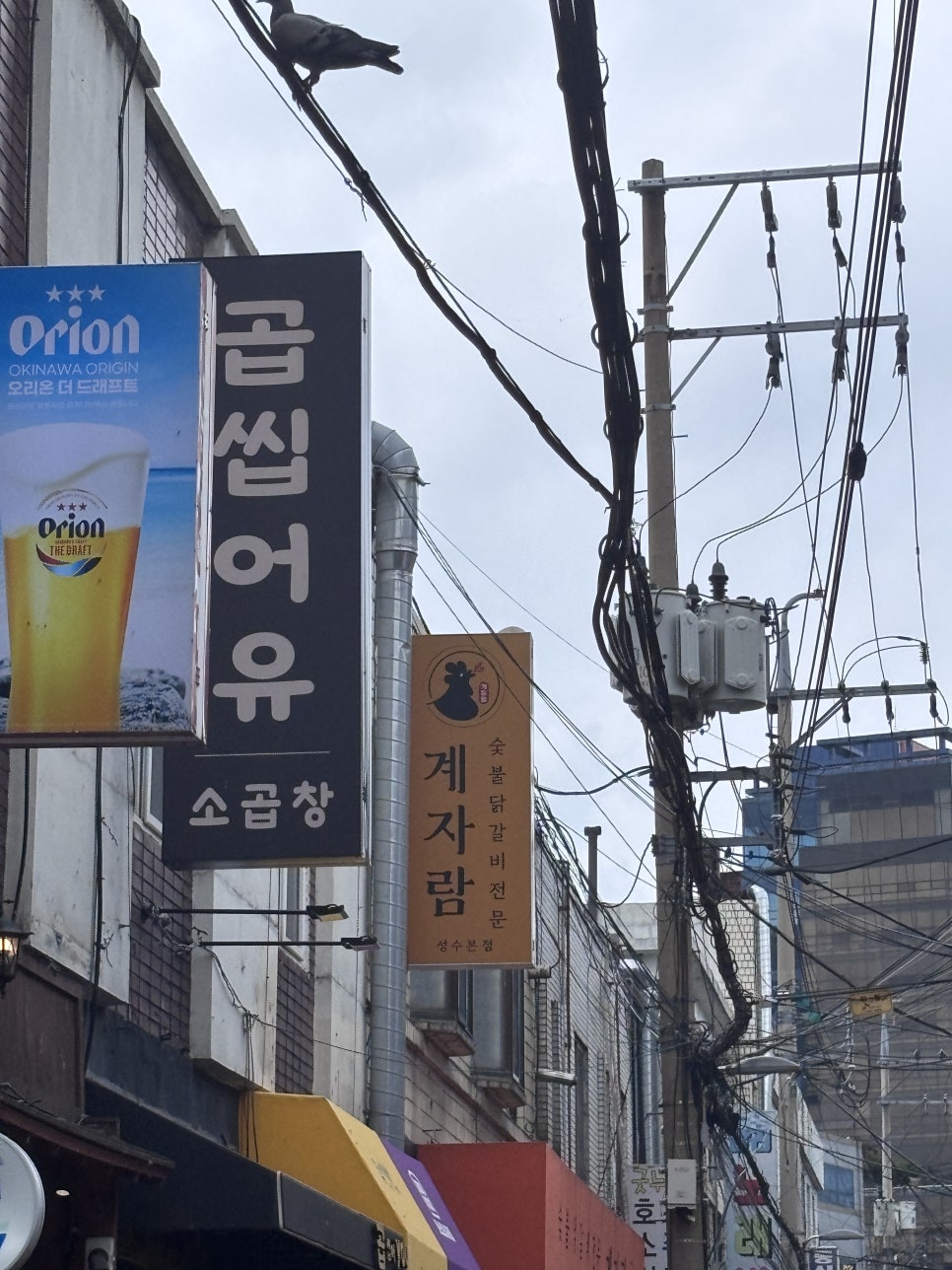 숯불닭갈비 계자람 성수본점 사진 5