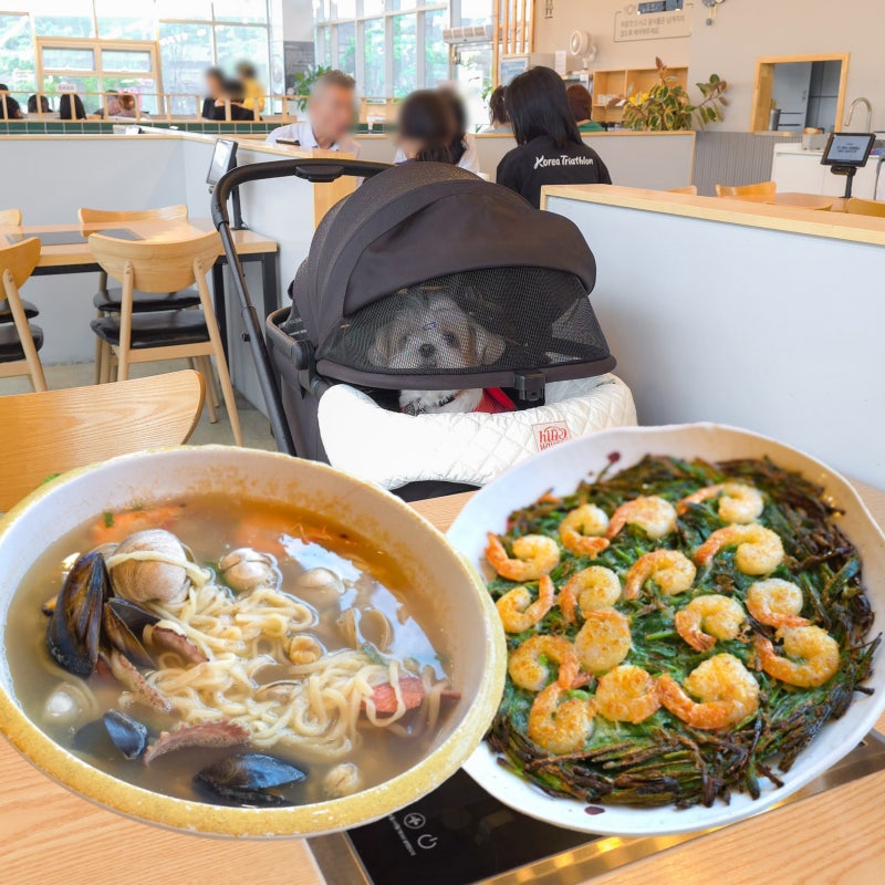 부산 기장 애견동반식당 동부산 근처 용궁해물칼국수