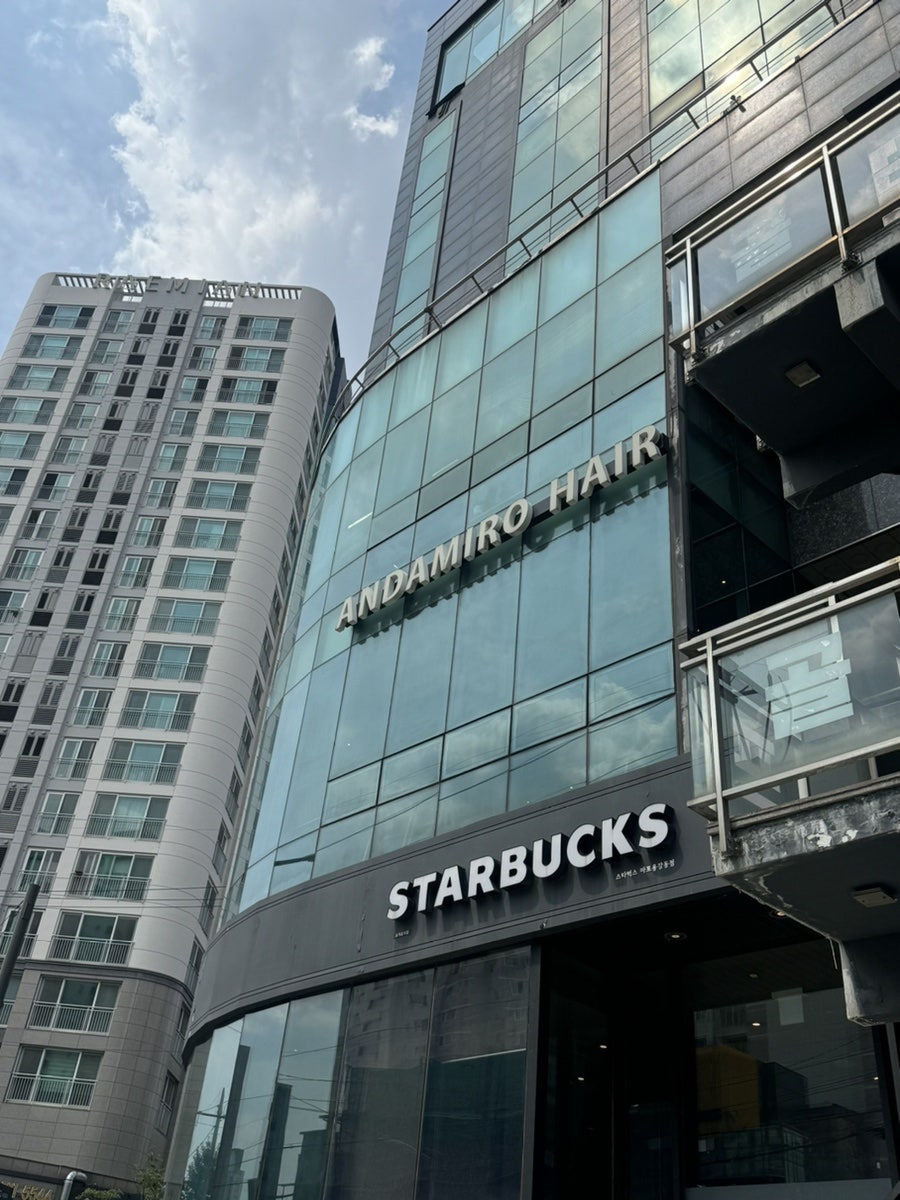 안다미로 사진 5