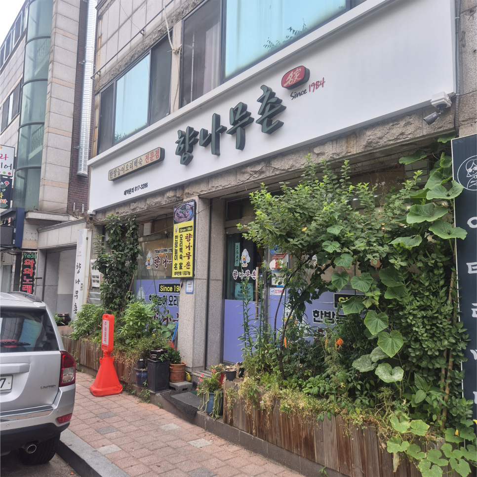 향나무촌 사진 1