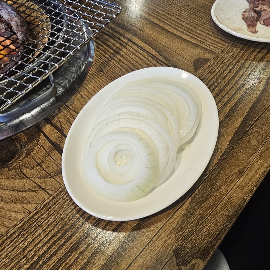 화덕갈매기 사진 5