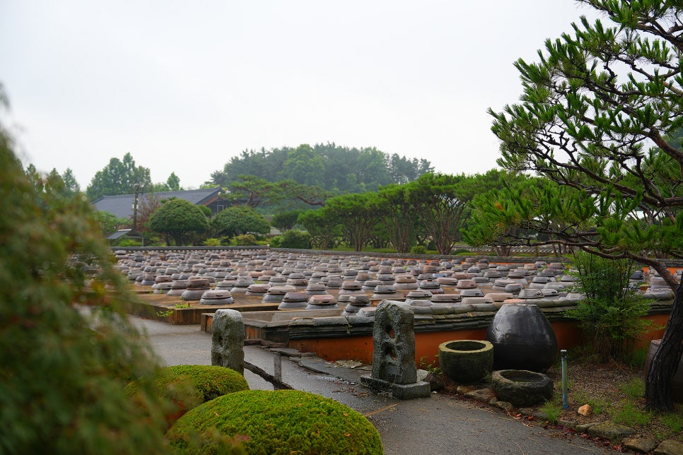 푸른정원 사진 5