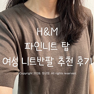 H&M 에이치엔엠 파인니트 탑 후기 여름 여성 반팔 니트 추천