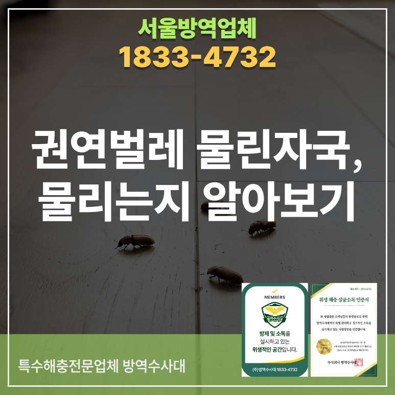 권연벌레 물린자국 물리는지 알아보기