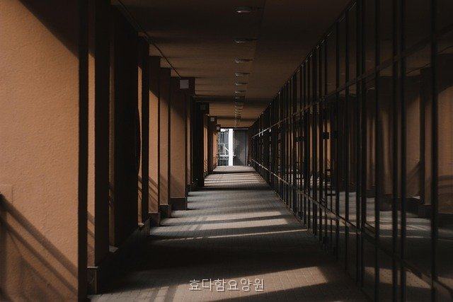 효다함요양원 사진 3