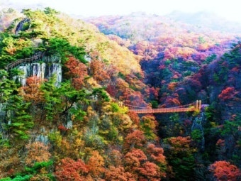 시냇가 사진 2