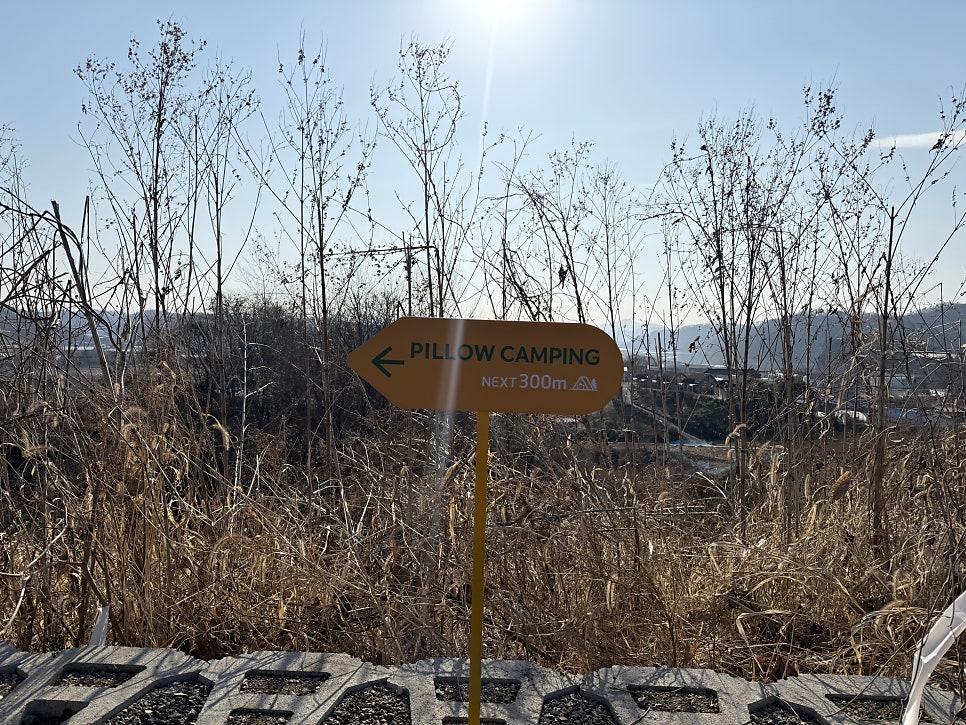 필로우캠핑장 사진 4