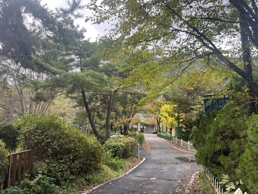유명산258 사진 2