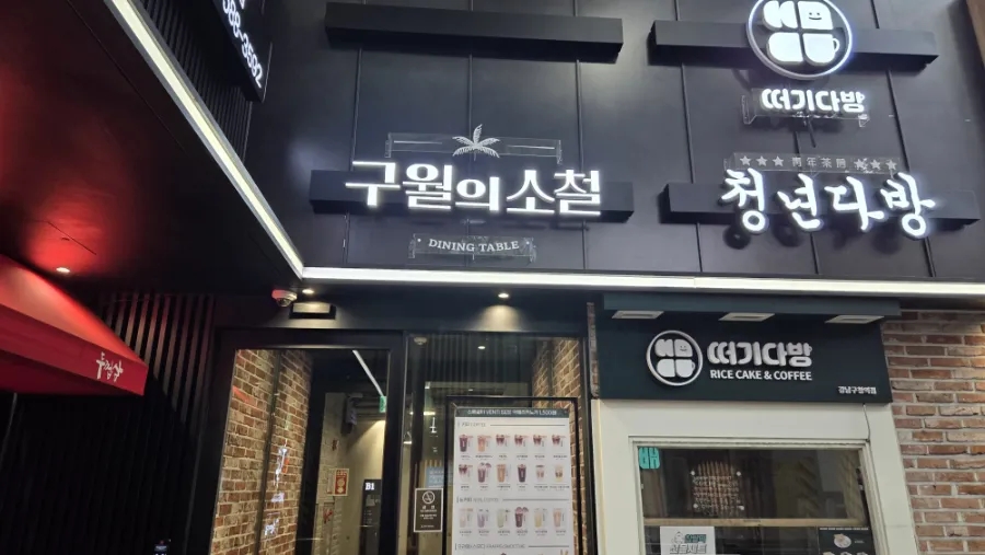 구월의 소철 사진 2