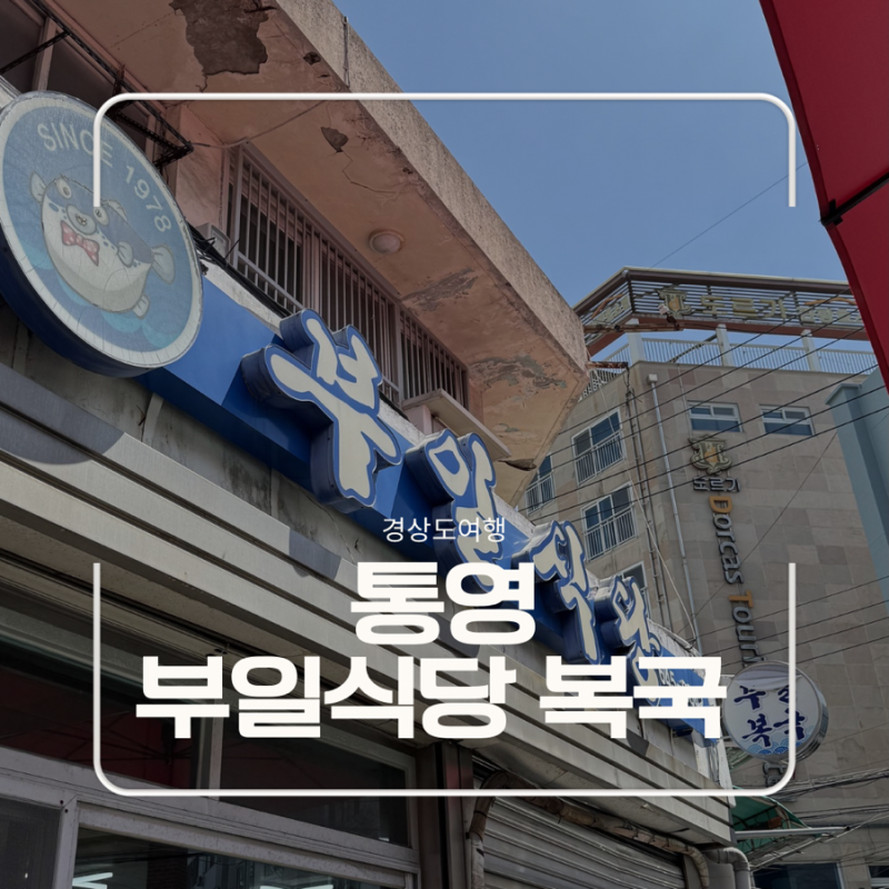 통영 졸복국 맛집 | 부일식당 복국 후기