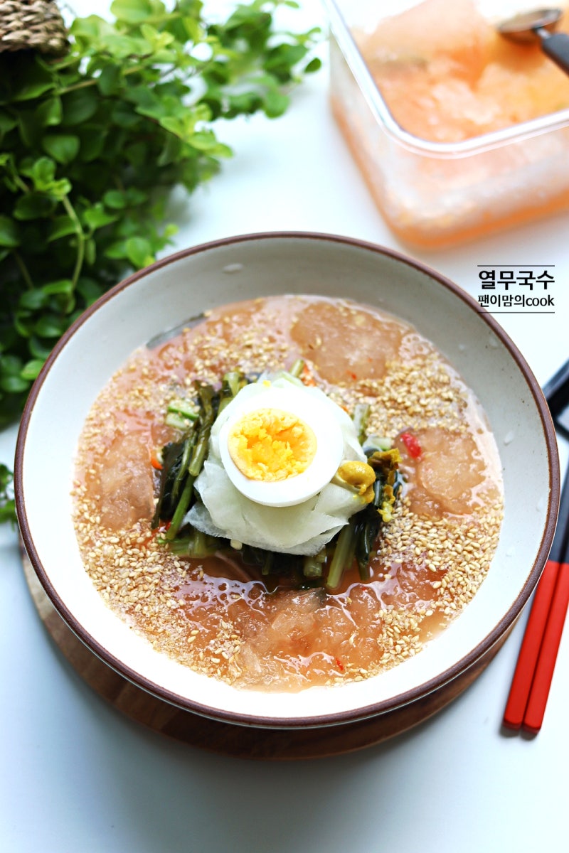 열무국수 레시피 간단 육수 열무물국수 메밀국수 만들기
