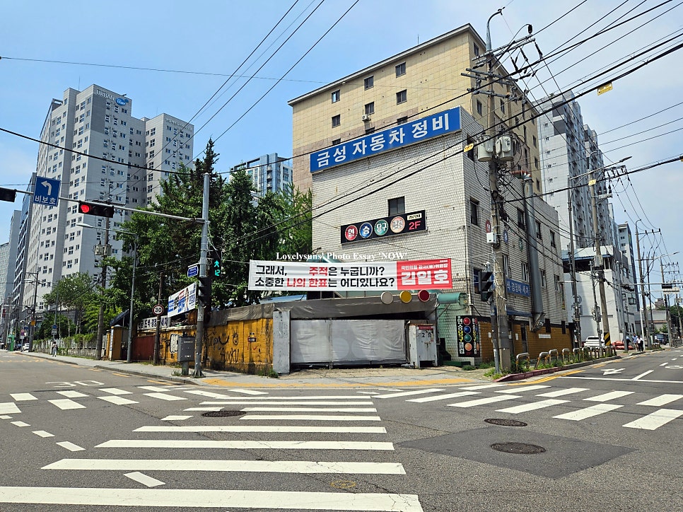 칠흑 사진 3