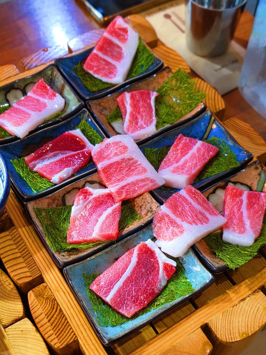 노보루 사진 6