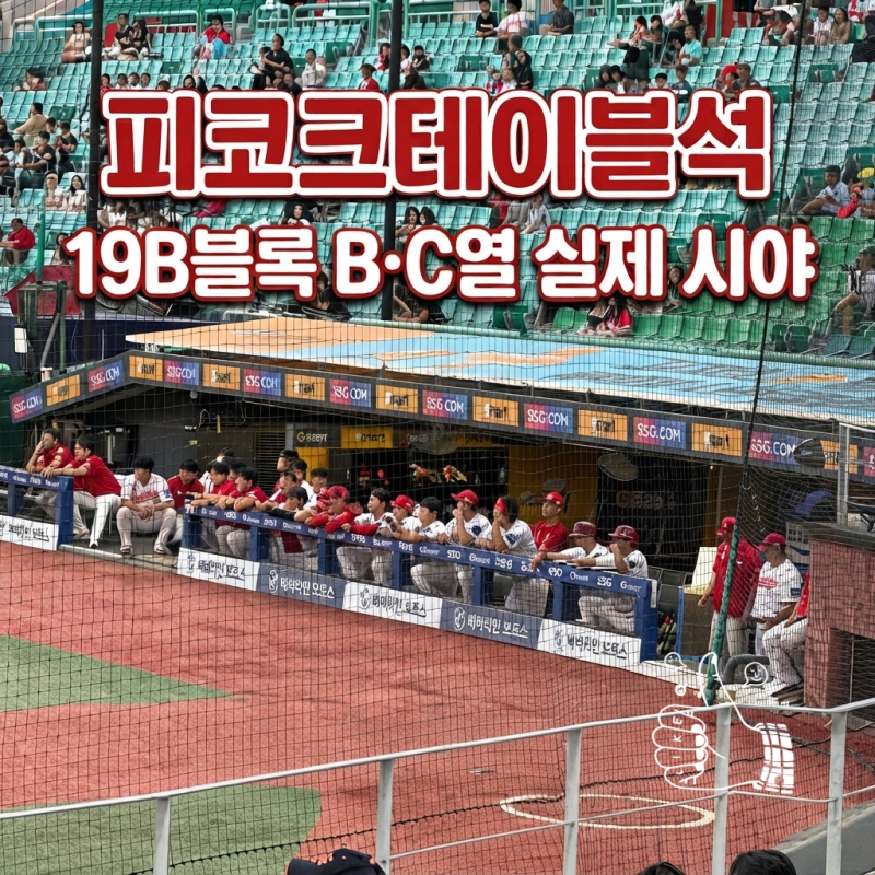 SSG랜더스필드 피코크테이블석 19B블록 B열·C열 시야 후기