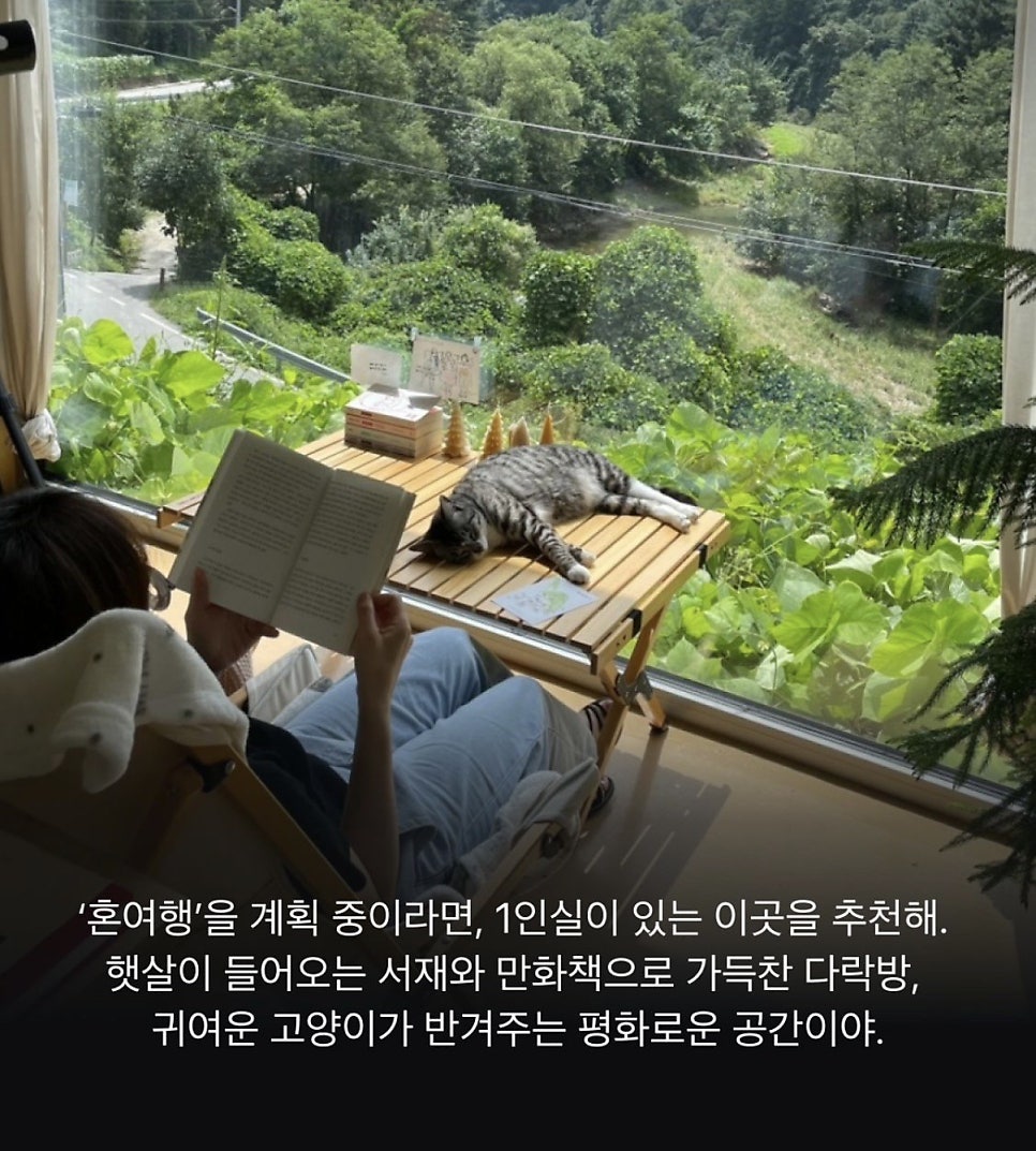북스테이 썸원스페이지숲 사진 3
