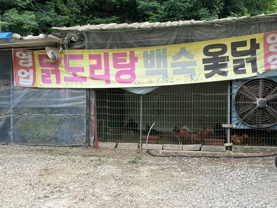 자연닭집 사진 3