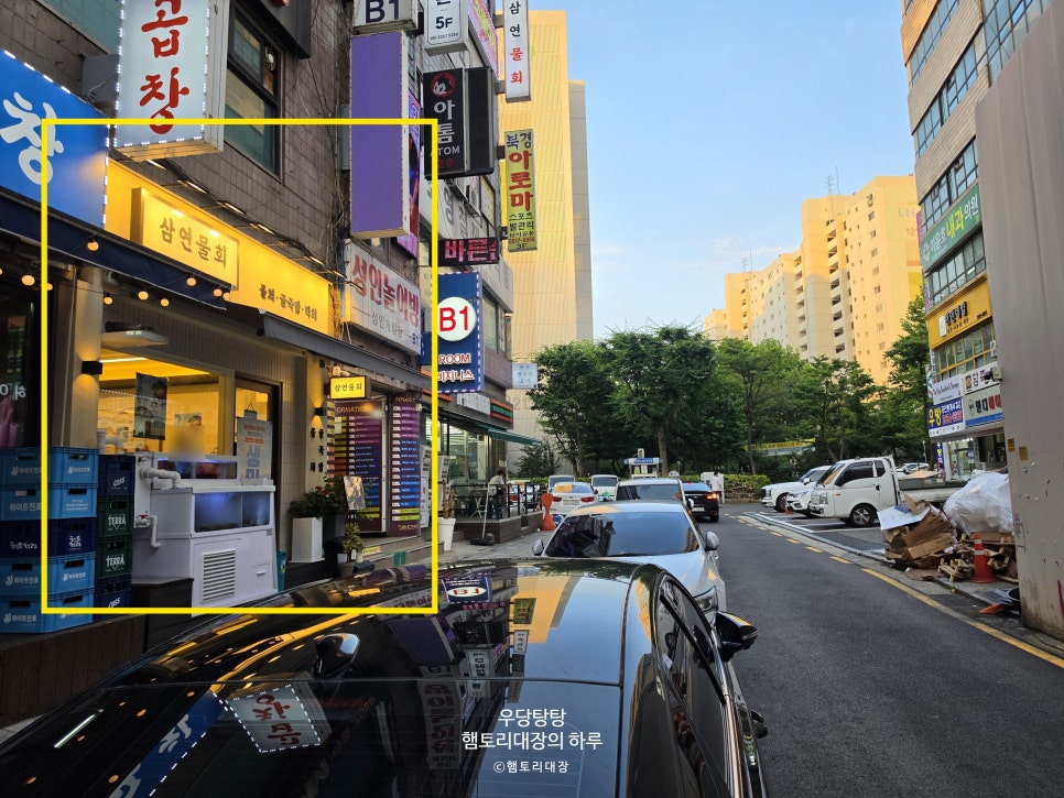 삼연물회 사진 1