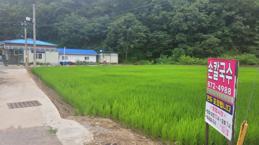 함박식당 사진 3