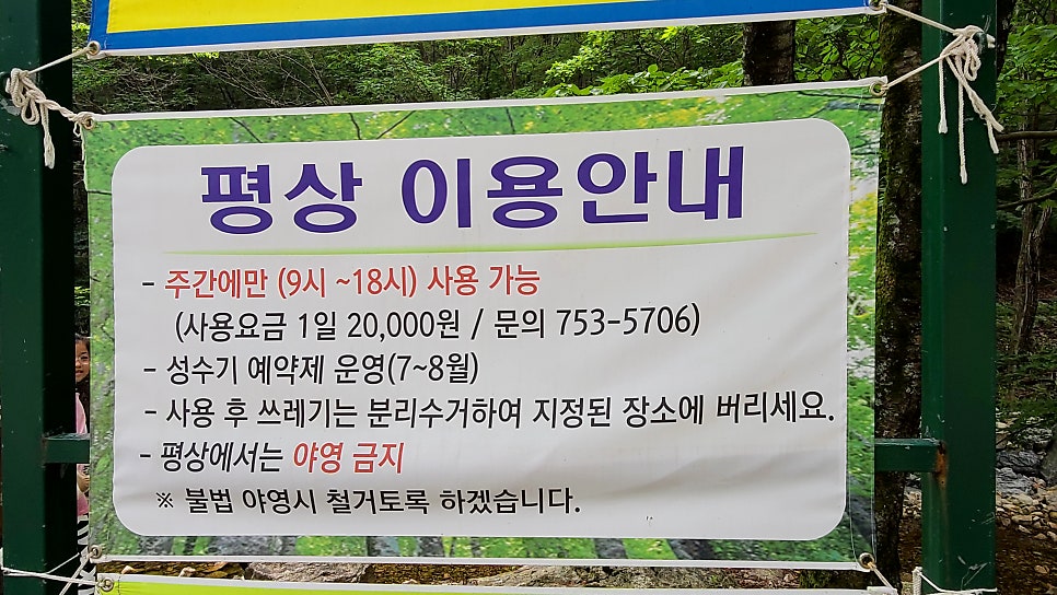 남이 자연휴양림 숲속공연장 사진 5