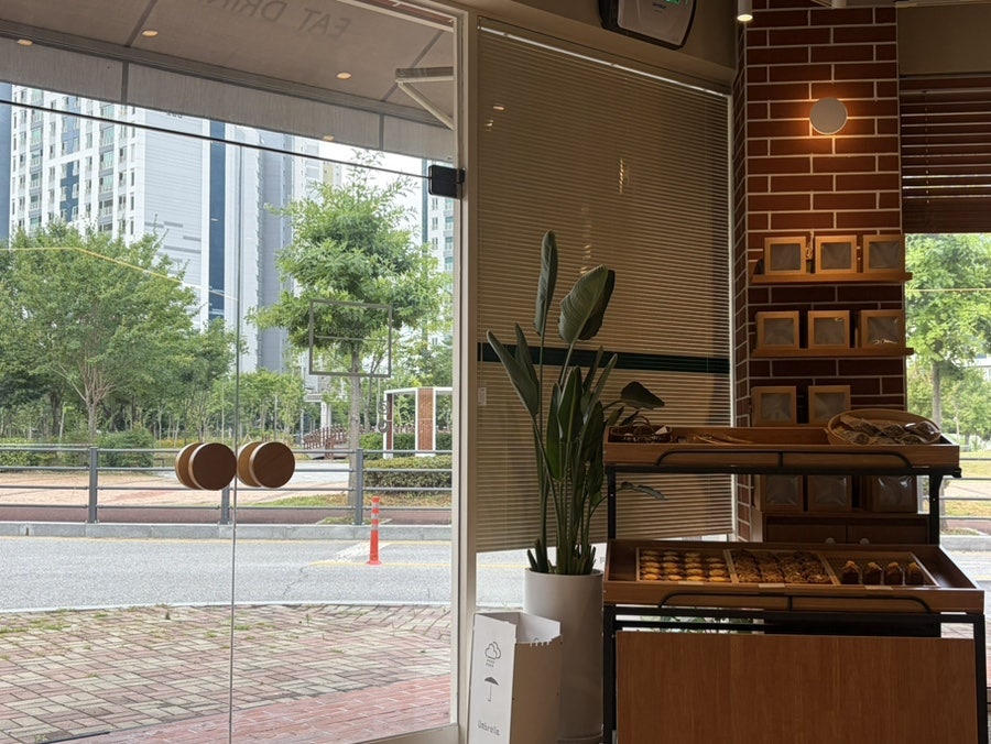 넛셸 사진 5