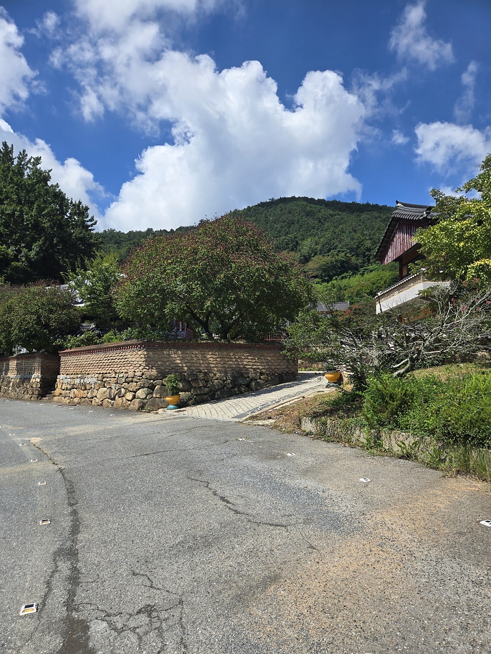 자미산 사진 4