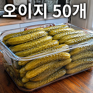 물없이 오이지 담그는법 50개, 골마지 없이 아삭한 소금 설탕 식초 황금비율