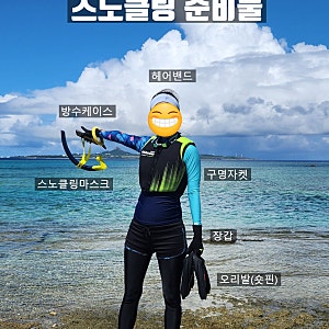 22주 임산부 오키나와 셀프 스노클링 후기｜비세자키·고릴라촙 비교