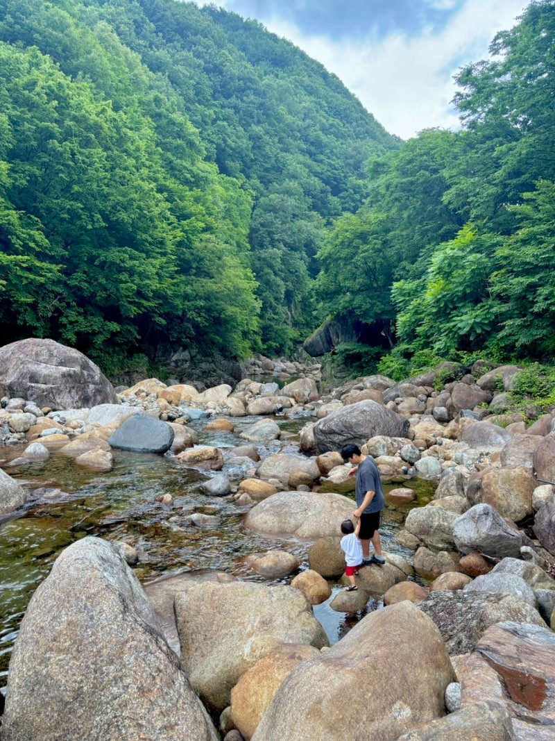 지리산 백무동 코스 계곡 펜션 숙소 식당