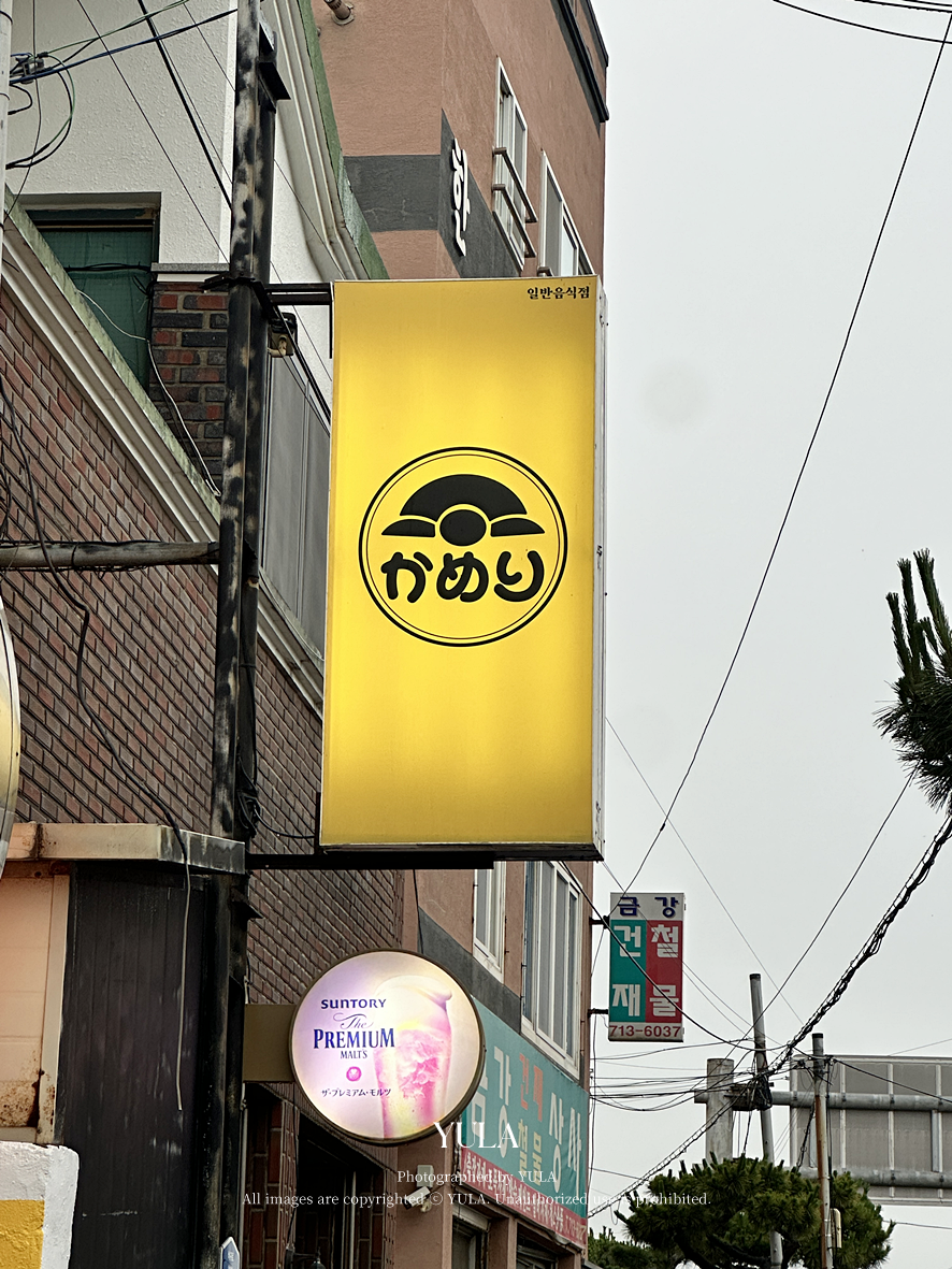 카메리 사진 2
