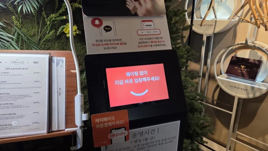 구월의 소철 사진 3