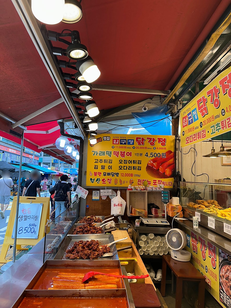 용이네 사진 3