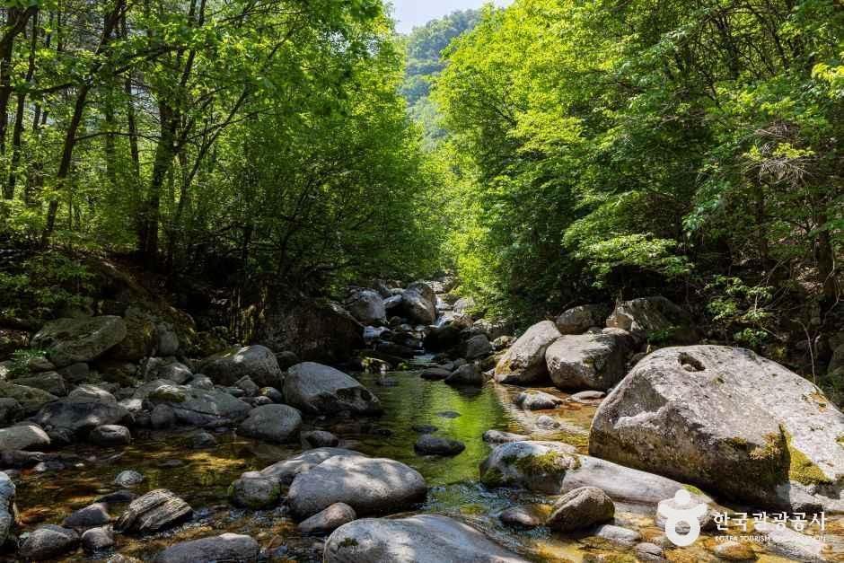 그린농원 사진 4