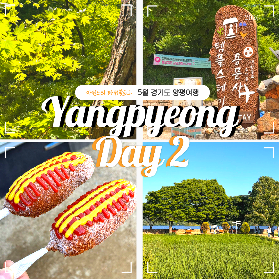 용문산 송림 사진 2