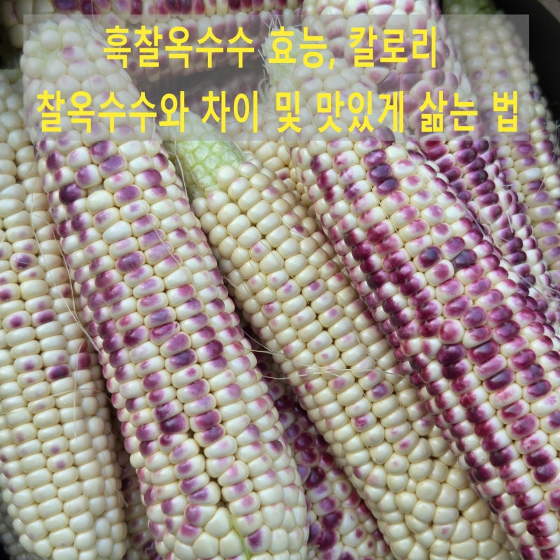 흑찰옥수수 효능 칼로리, 찰옥수수와 차이 및 맛있게 삶는 법