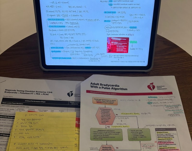 ACLS Provider 취득 후기