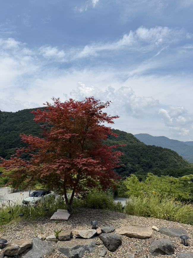 카이로스 캠핑장 사진 5