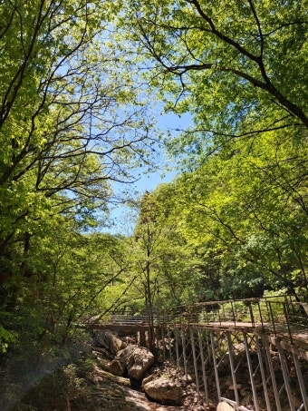 시냇가 사진 6