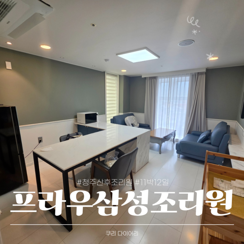 청주 프라우삼성산후조리원 11박12일 vip룸 대만족 후기
